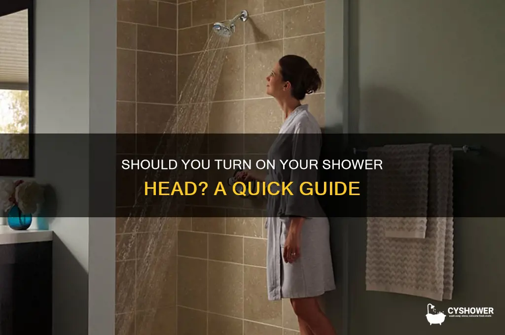 do you turn on a shower head