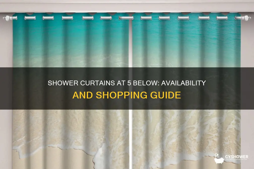 does 5 below have shower curtains