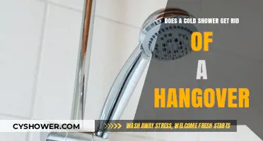 Cold Showers for Hangovers: Myth or Effective Morning-After Cure?