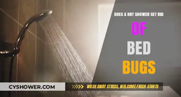 Hot Showers and Bed Bugs: Effective Solution or Myth?