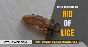 Hot Showers and Lice: Effective Treatment or Myth?
