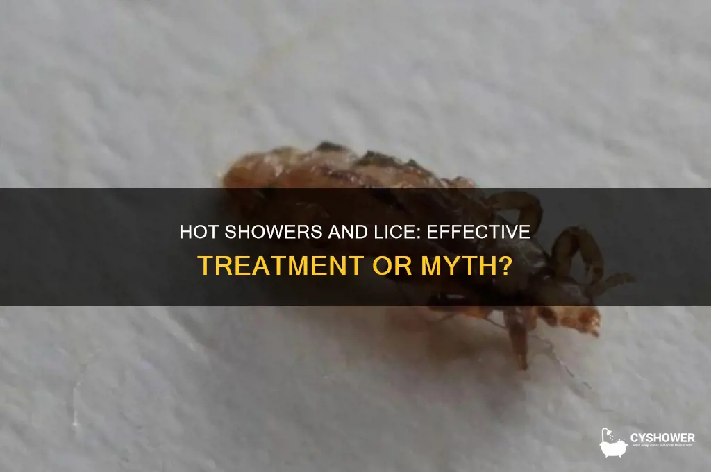 does a hot shower get rid of lice