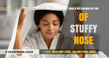 Hot Showers for Stuffy Noses: Effective Relief or Just Steam?