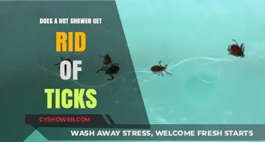 Hot Showers and Ticks: Effective Prevention or Myth?