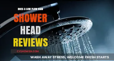 Low Flow Rain Shower Head Reviews: Eco-Friendly Luxury or Compromise?