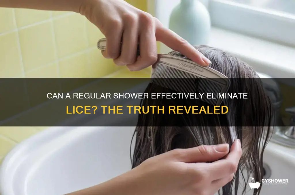 does a normal shower get rid of lice
