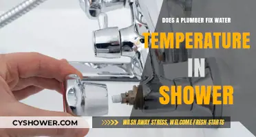 Can a Plumber Fix Your Shower's Water Temperature Issues?