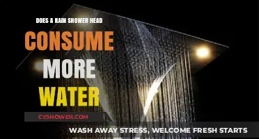 Rain Shower Heads: Water Efficiency vs. Luxurious Experience Explained