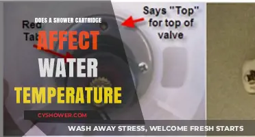 How Shower Cartridges Impact Your Water Temperature: A Comprehensive Guide