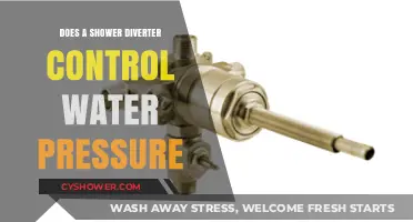 Shower Diverter's Role in Water Pressure Control Explained