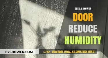 Shower Door Impact: Does It Reduce Bathroom Humidity Effectively?