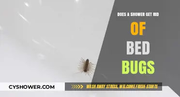 Showering to Eliminate Bed Bugs: Fact or Fiction? Expert Insights