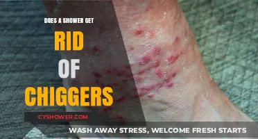 Showering to Remove Chiggers: Effective Relief or Myth?
