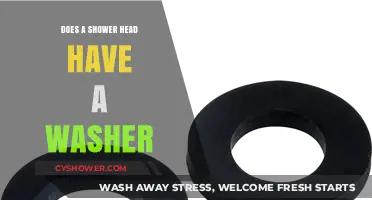 Does Your Shower Head Have a Washer? A Quick Guide