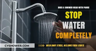 Does a Shower Head with Pause Feature Stop Water Flow Completely?
