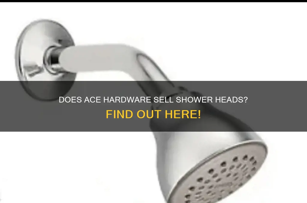 does ace hardware sell shower heads