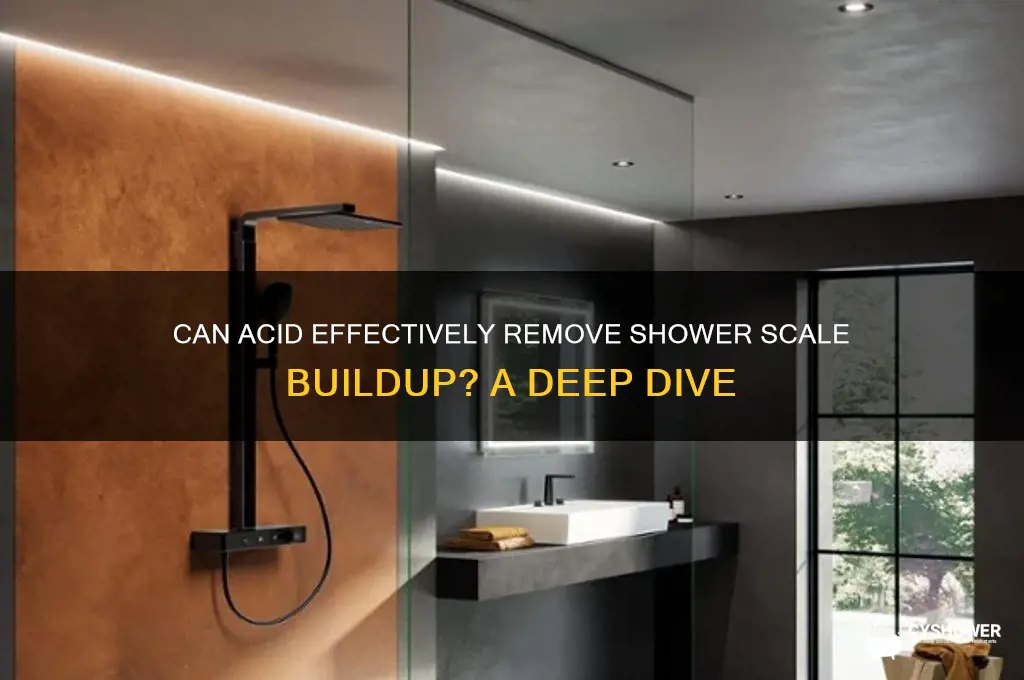 does acid remove shower scale
