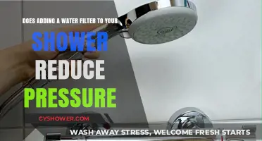 Does a Shower Water Filter Reduce Pressure? Find Out Here