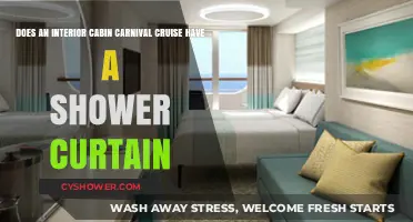 Carnival Cruise Interior Cabin Shower Curtain: What to Expect