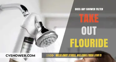 Do Shower Filters Remove Fluoride? The Truth Revealed