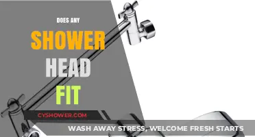 Universal Shower Head Compatibility: Do All Models Fit Every Fixture?