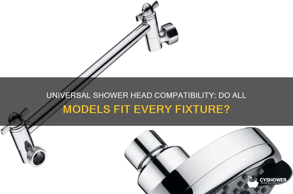 does any shower head fit
