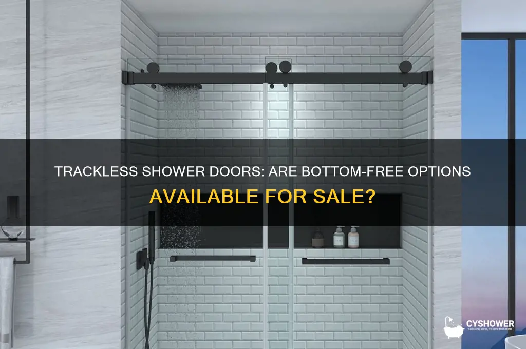 does anyone sell a shower door with no bottom track