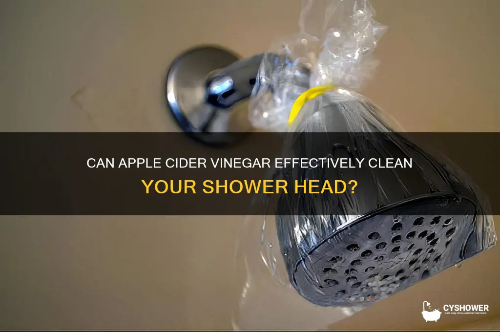 does apple cider vinegar clean shower head