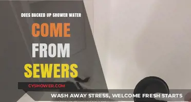 Backed-Up Shower Water: Sewer Connection or Plumbing Issue?