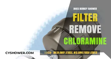 Does Berkey Shower Filter Remove Chloramine? A Comprehensive Guide