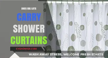 Does Big Lots Sell Shower Curtains? Find Out Here!