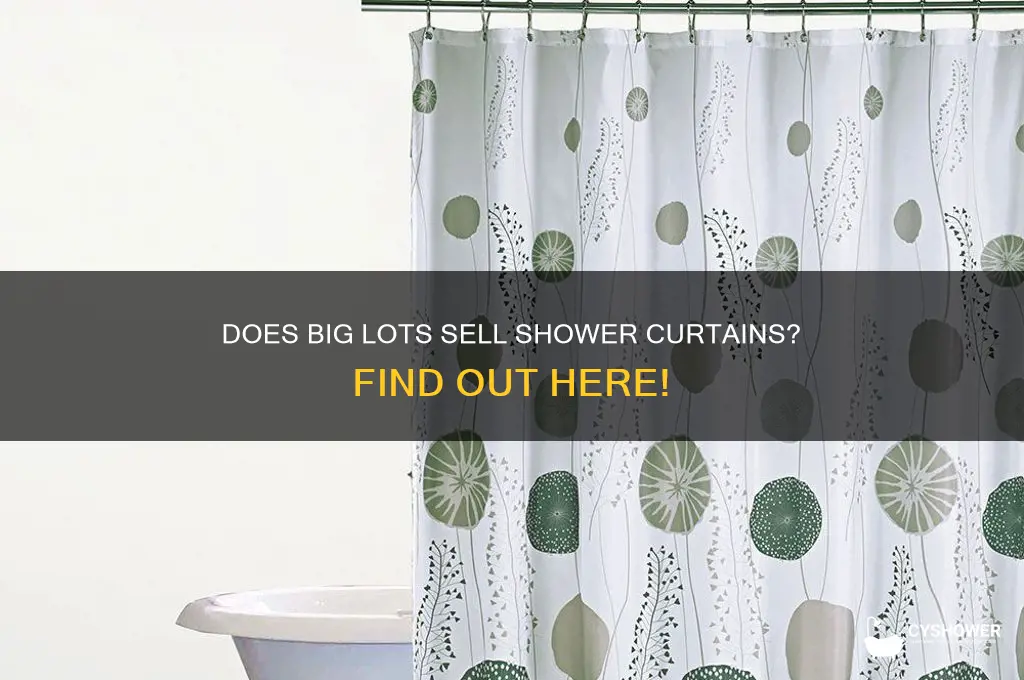 does big lots carry shower curtains