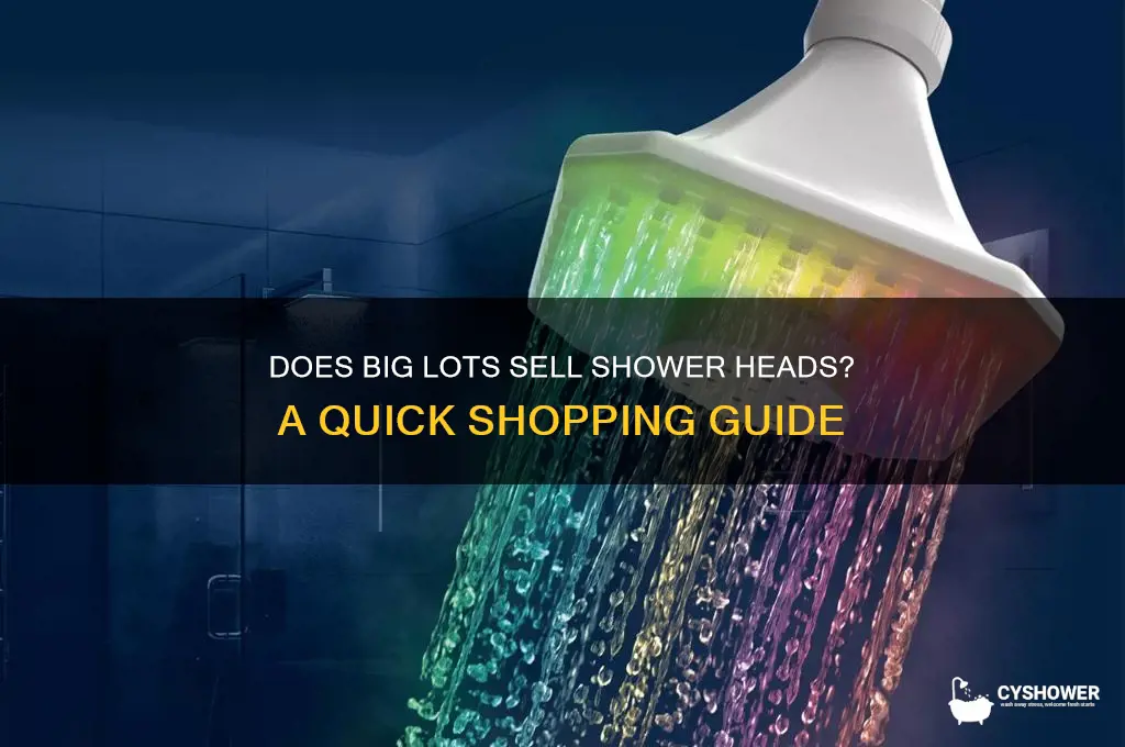 does big lots sell shower heads