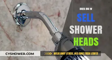 Does Big W Sell Shower Heads? A Comprehensive Guide
