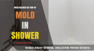 Bleach for Mold Removal: Effective Shower Cleaning Solution or Myth?