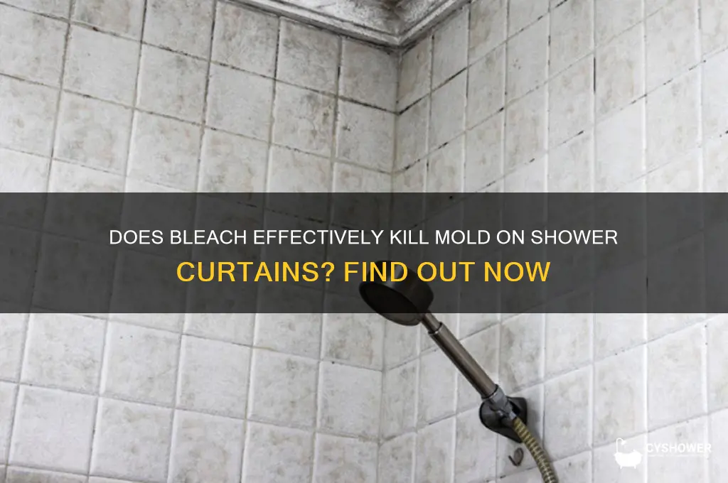 does bleach kill mold on shower curtain