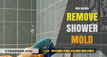 Effective Mold Removal: Can Bleach Eliminate Shower Mold Safely?