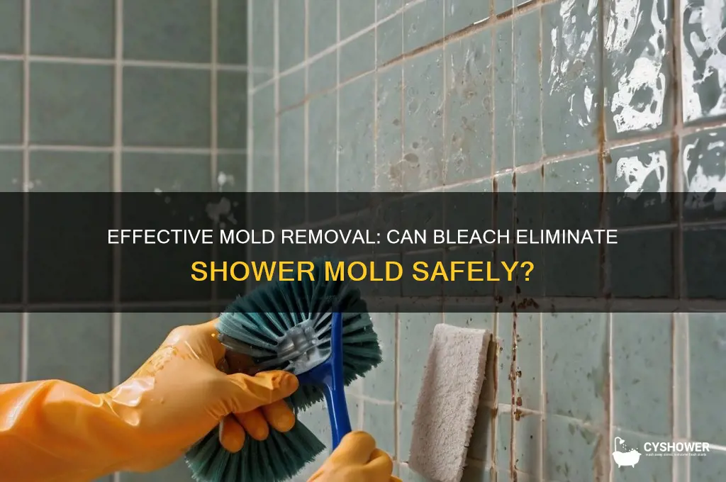 does bleach remove shower mold