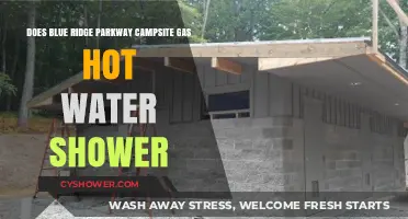 Blue Ridge Parkway Campsites: Gas Hot Water Showers Available?