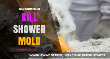 Boiling Water vs. Shower Mold: Effective Solution or Temporary Fix?