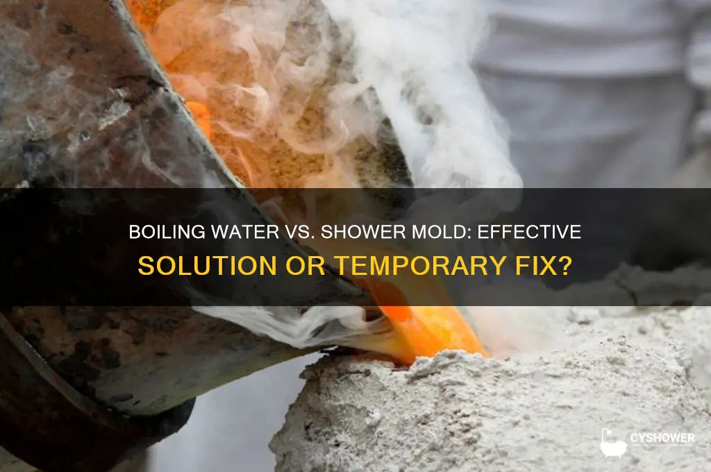 does boiling water kill shower mold