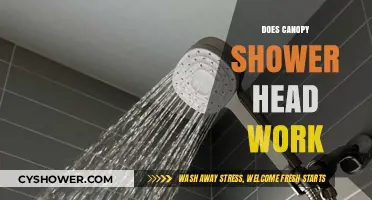 Canopy Shower Heads: Do They Really Work? A Comprehensive Review