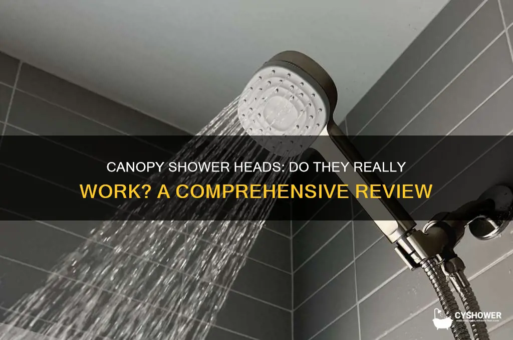 does canopy shower head work