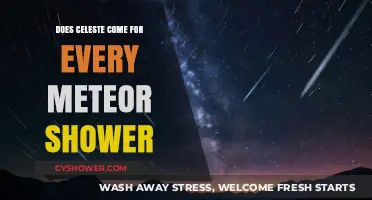 Celeste's Meteor Shower Mystery: Does She Appear Every Time?