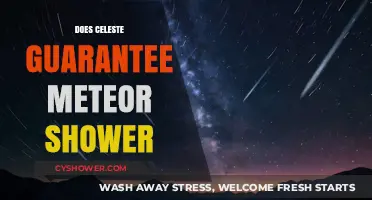 Celeste's Meteor Shower Mystery: Guaranteed Event or Random Chance?