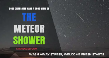 Charlotte's Meteor Shower Visibility: A Celestial Spectacle Worth Watching?