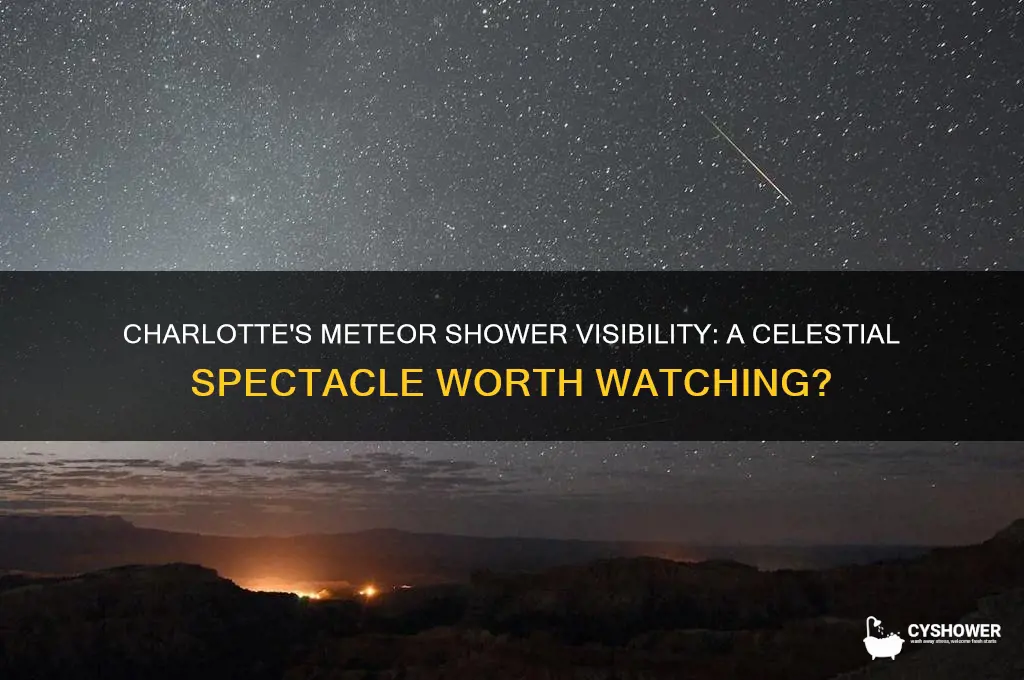 does charlotte have a good view of the meteor shower