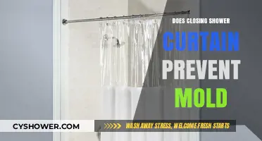 Closing Shower Curtain: Effective Mold Prevention or Myth?