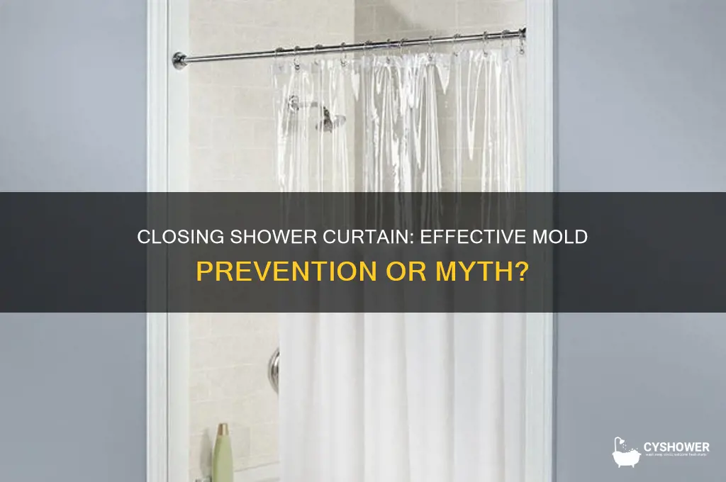does closing shower curtain prevent mold