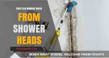 CLR's Power: Effective Mold Removal for Shower Heads?